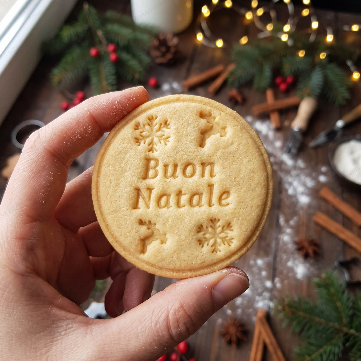  Biscotto rotondo tenuto in mano con scritta Buon Natale, renne e fiocchi di neve impressi sulla superficie.
